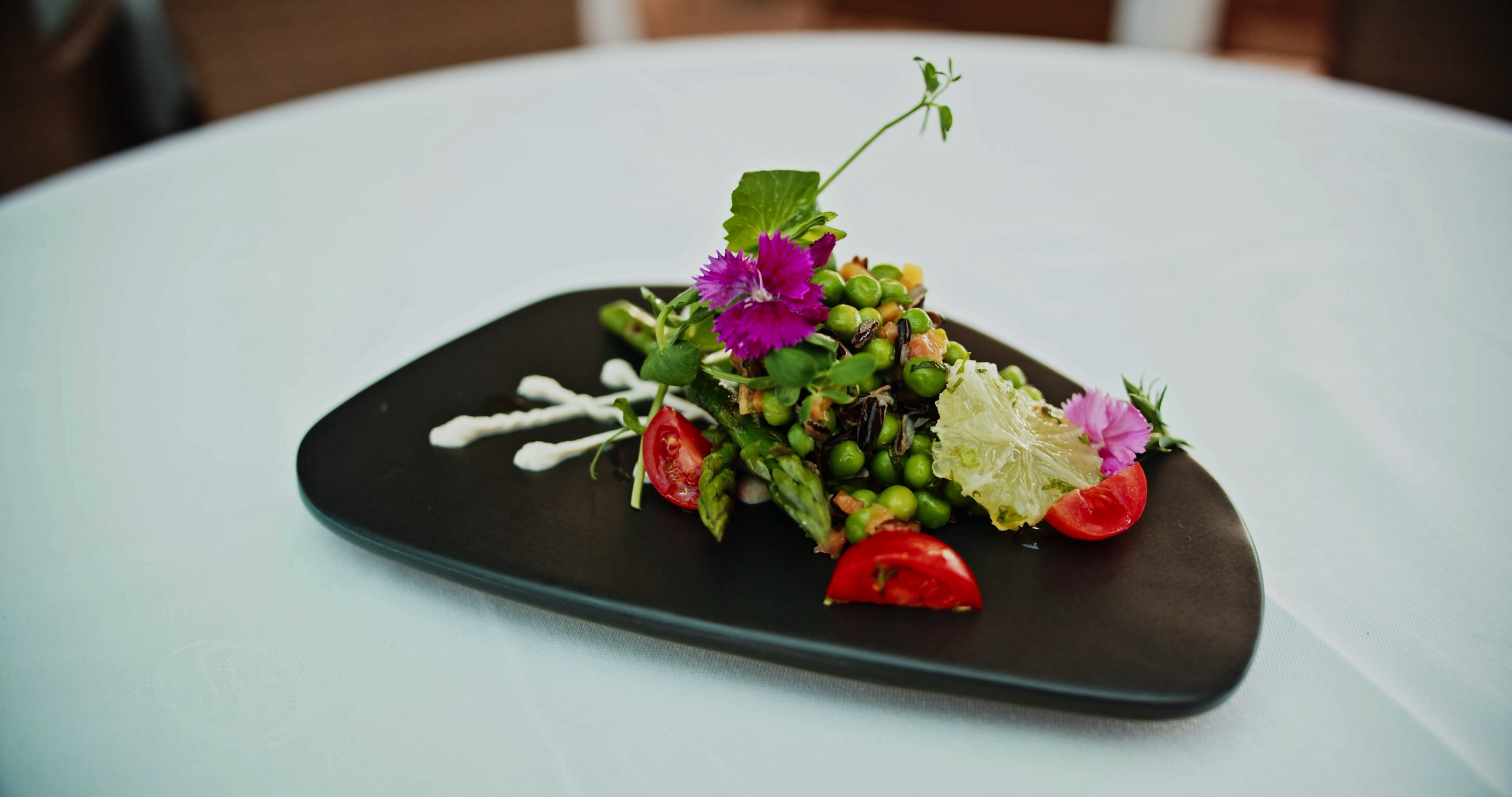 Plant-Based & Organic Cuisine at Sea