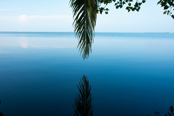 Biju's Homestay, Chakrampady, Kumarakom, Kerala, India