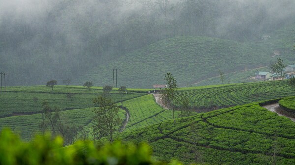 Kandy, Sri Lanka