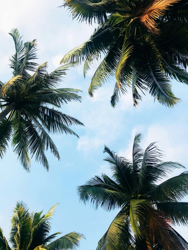 An Extended Journey of Historic Echoes & Ocean Breezes
