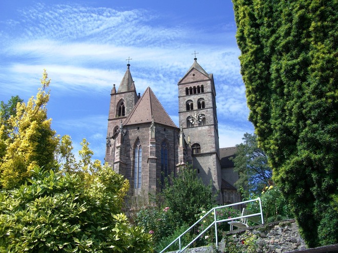 A Taste of the Rhine – A Wine Cruise with Amsterdam