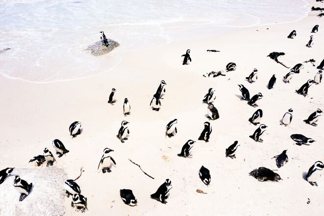 Southwest Africa cruise from Angola to South Africa