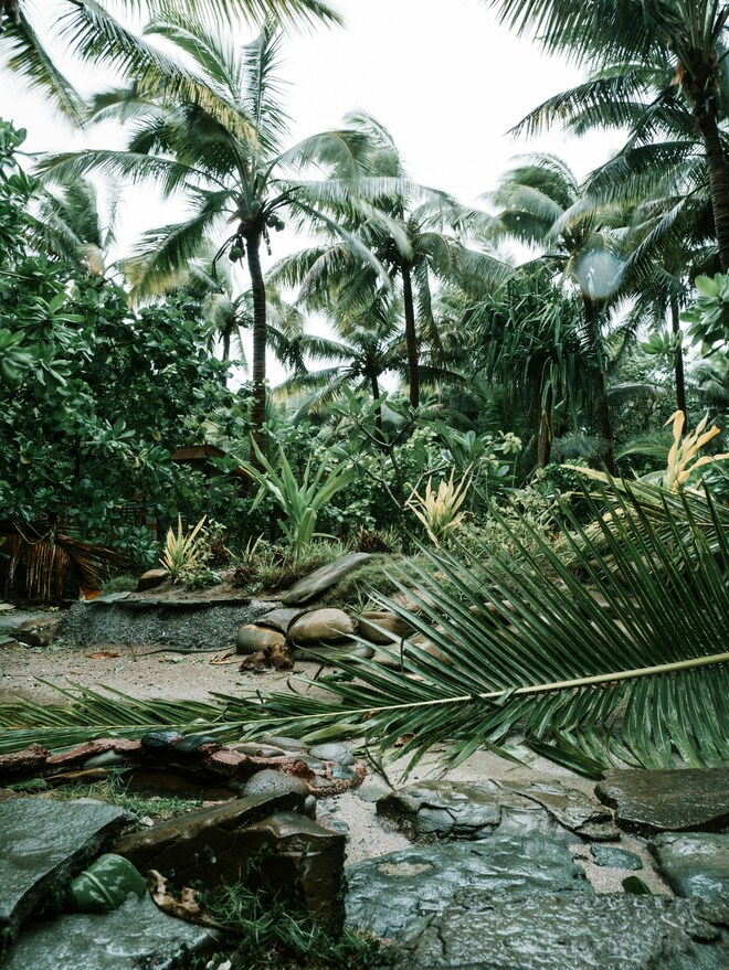 An escapade in the heart of Melanesia