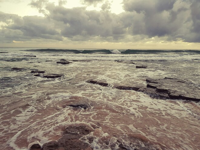 Roos, Reefs & Romance