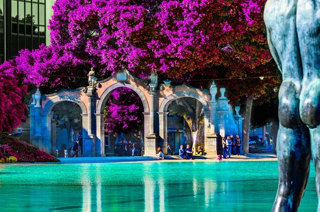 Canary Islands Christmas & Cádiz New Year