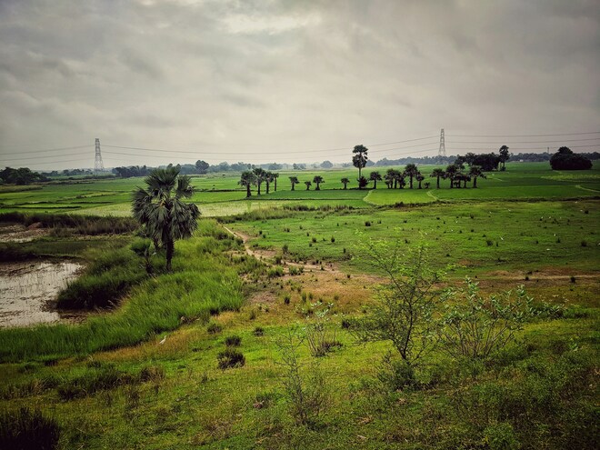 India's Golden Triangle & the Sacred Ganges