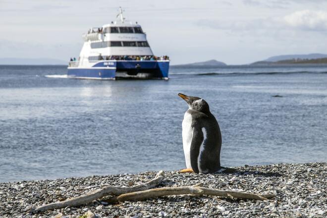 12-Day Antarctica Exploration