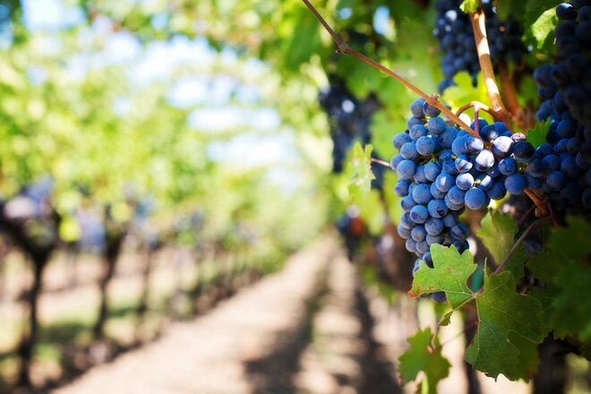 Beautiful Bordeaux & Unforgettable Douro With Lisbon