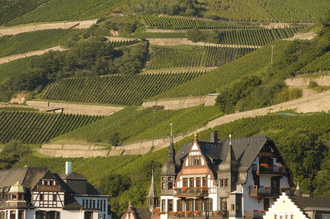 Rhine & Moselle Splendors (Wine Cruise)