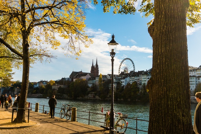 Discover the Tulips of the Rhine & Rhone rivers