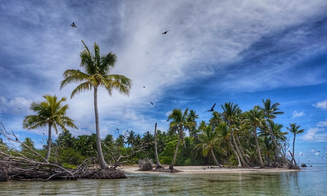 Ancestral Cultures of the South Pacific