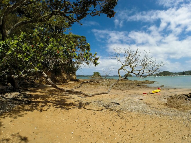 Bay of Islands Explorer