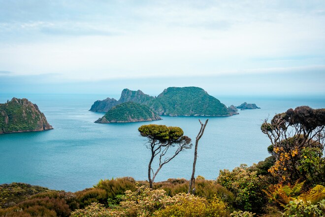 Unseen Stewart Island