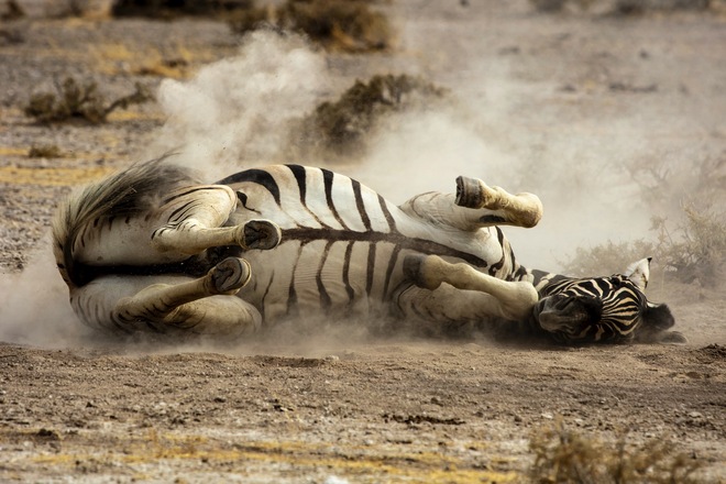 African Wonders & the Skeleton Coast