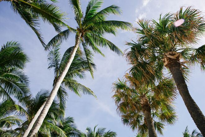 10-Day Eastern Caribbean with St. Kitts