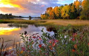 Havre-Saint-Pierre, Québec