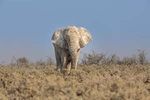Kruger National Park