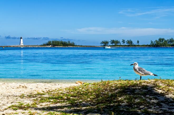 Roundtrip Fort Lauderdale