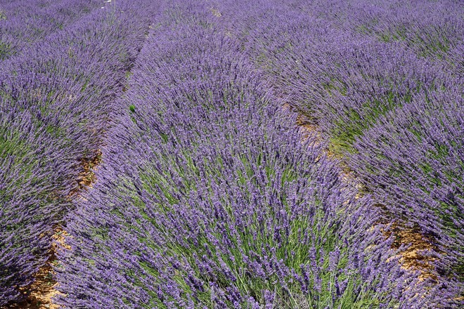 Paris & Autumn Sensations of Lyon and Provence