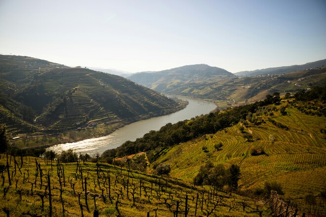 Flavors of Portugal & Spain (Wine Cruise)