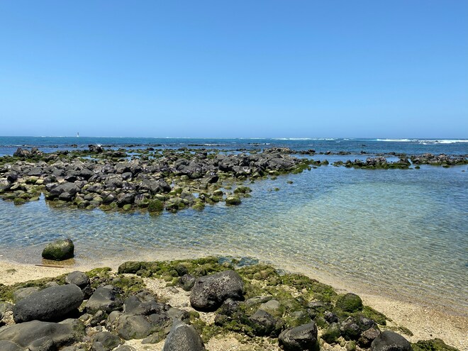 Cruise West Africa: Cultures and Wild Coasts