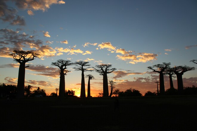 Madagascar & South Africa