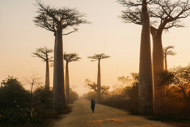 Jewels of Madagascar
