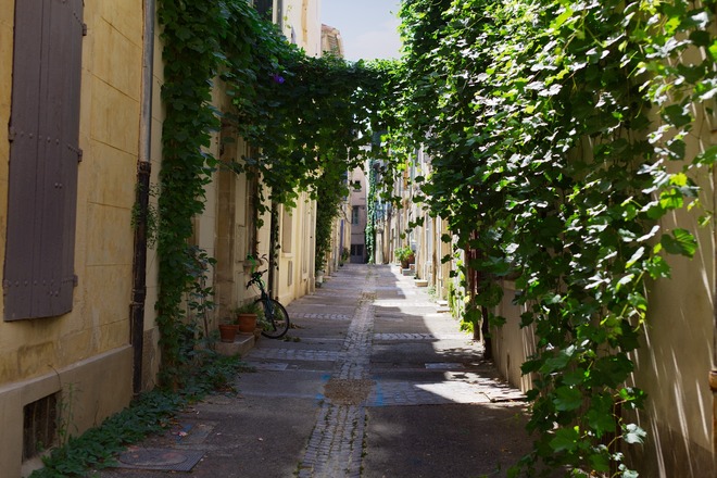 Lavender Sensations of Lyon & Provence