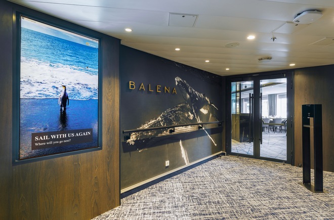 Balena