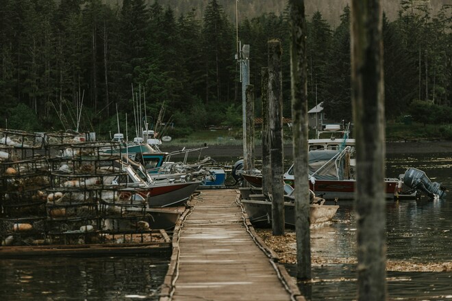 Alaska (Inside Passage): Where The Wilderness Itself Writes The Script