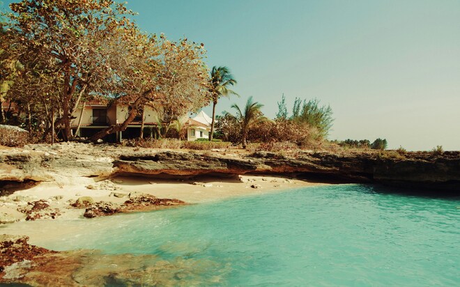 The Great Diversity Of The Caribbean Sea