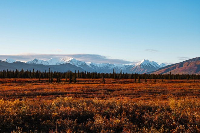 10-Day Signature Denali D0L