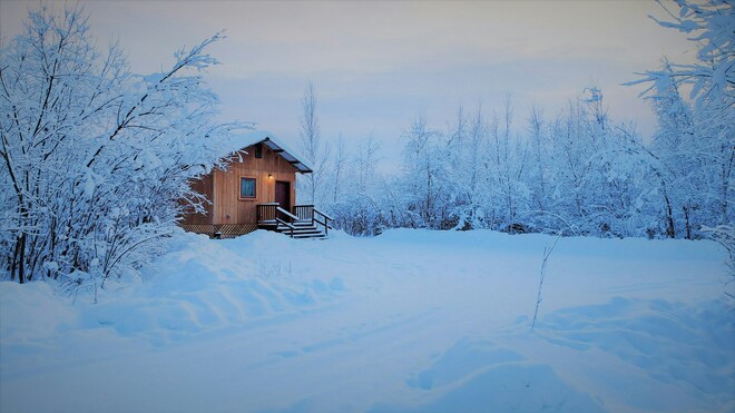 9-Day Denali & Yukon Y6C