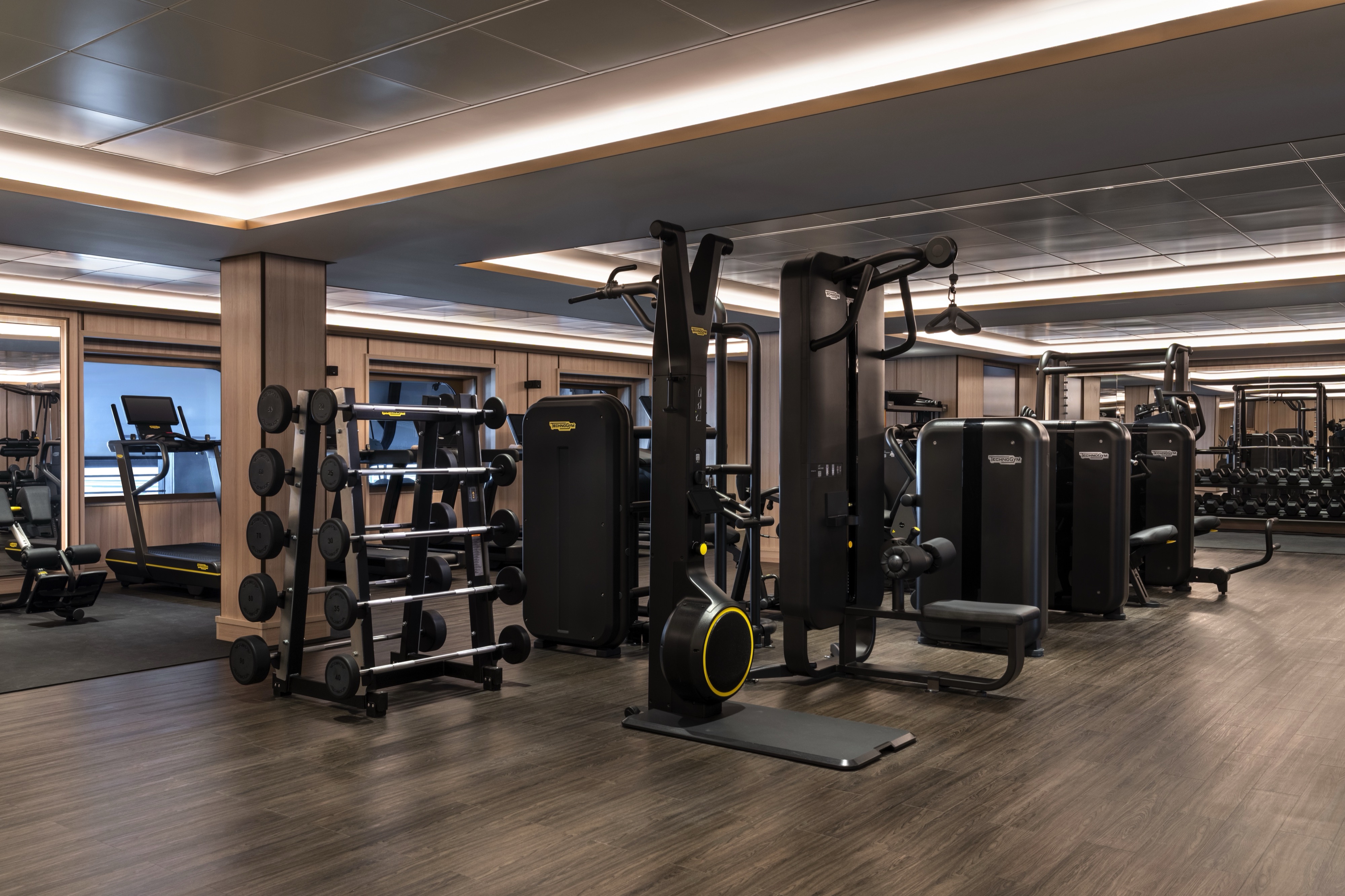 The Fitness Studio