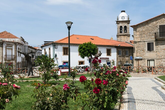 Gastronomy of the Douro River Cruise – from Portugal to Spain 