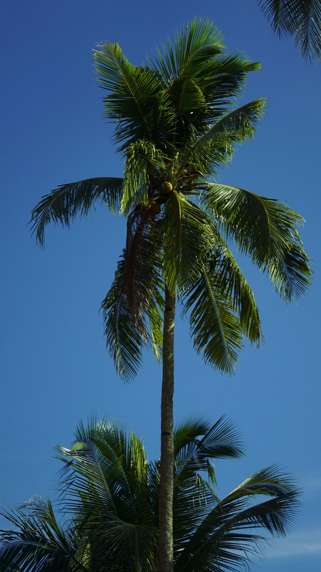 22-Day Remote Indonesia & Islands Of The Pacific Theatre