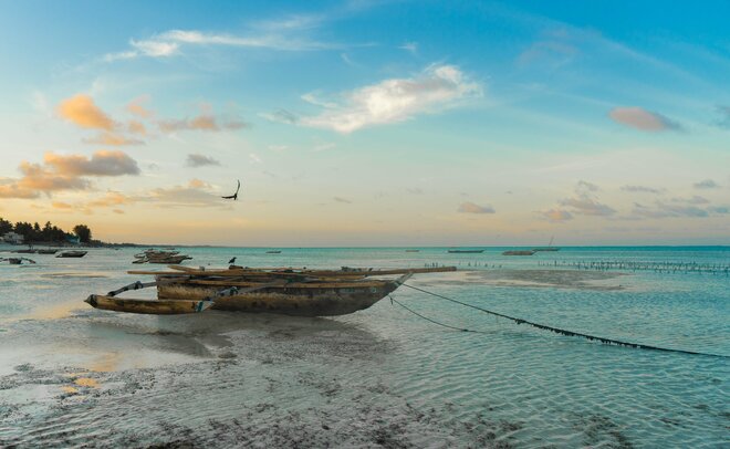 Safari, The Seychelles and Indian Ocean - Cruise & Land Journey
