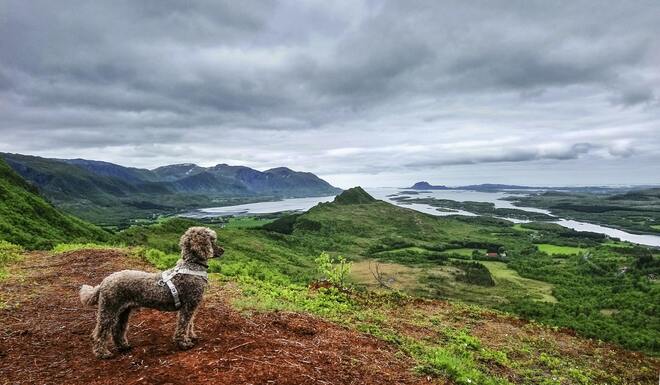 A Journey of Scenic Fjords, Ancient Legends & Coastal Splendour
