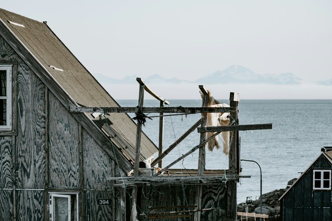 Northeast Greenland's unexplored sea ice