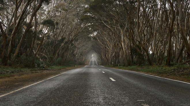 Set Course For Kangaroos, Koalas And Kiwis