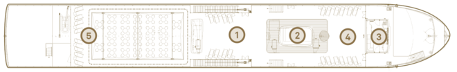 Sun Deck