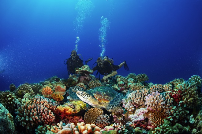 SCUBA Diving Excursions