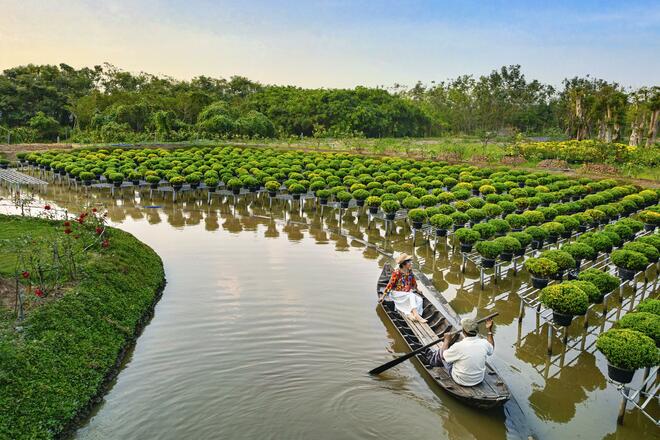 Enchanting Mekong and Siem Reap