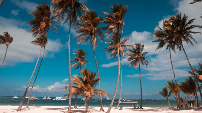 Secret treasures of the Lesser Antilles