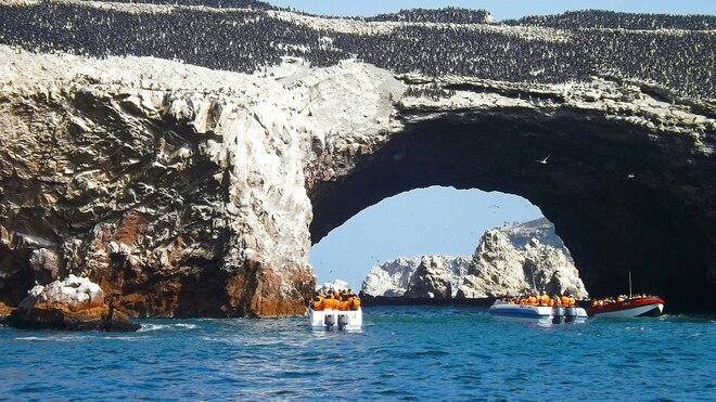 Expedition Chilean Fjords: Geological Testimonies Made Of Stone And Ice