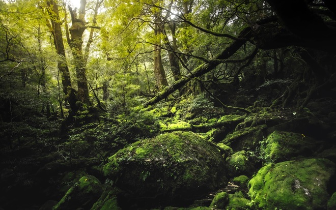 Cultural Horizons of Taiwan & Japan’s Southern Islands