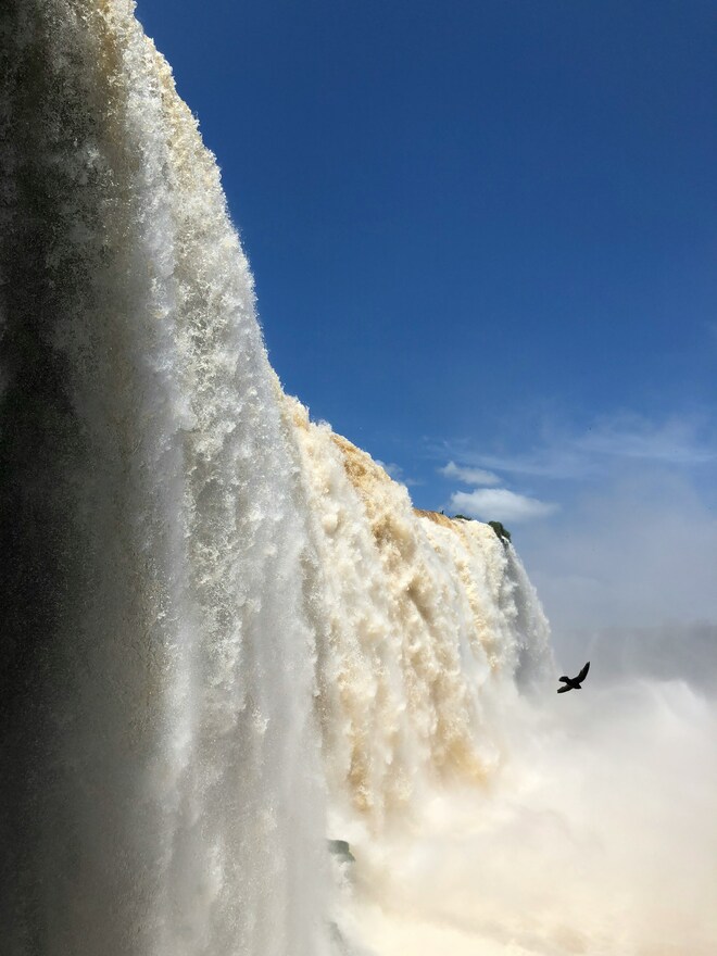 Highlights of Antarctica, Argentina & Brazil - Cruise & Land Journey
