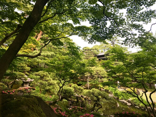 28-Day Circle Japan
