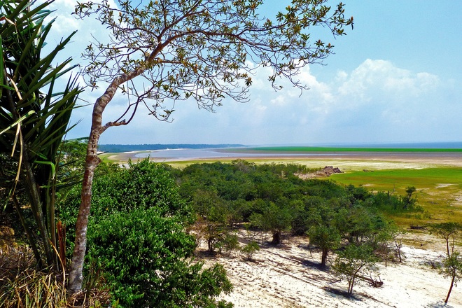 An Extended Journey into Island Elegance & Mysteries of the Amazon