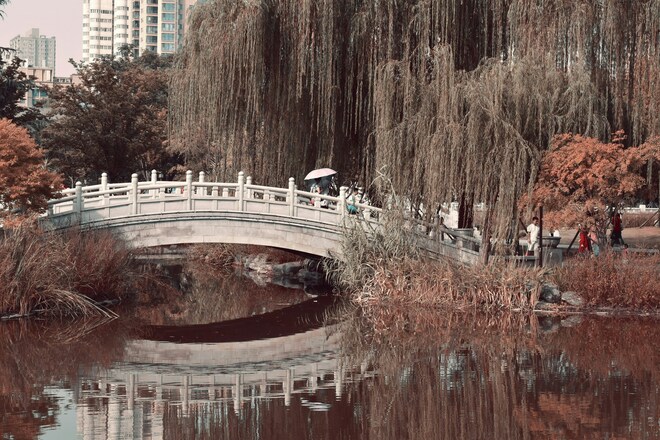 Classic China